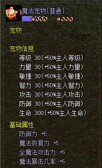 宠物1.jpg