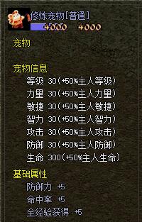 宠物3.jpg